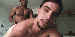 nohoslut:  The fag zone