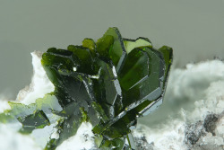 underthescopemineral:  Volborthite Cu3V2O7(OH)2·2H2O Locality:Milpillas