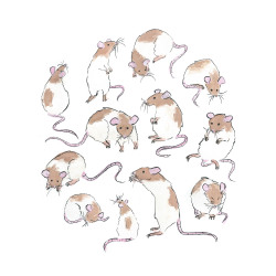 kyecheng:  I drew some rats..then arranged them into a circle