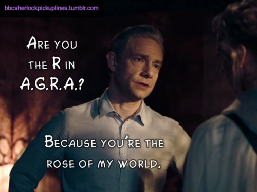 “Are you the R in A.G.R.A.? Because you’re the rose of my world.”