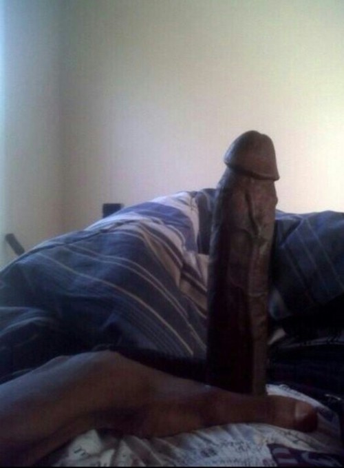 PRAISE BIG BLACK PENIS! mandingomafia:  2K Follower celebration! #teambigdick #mandingomonday #horsehung #bigdick #bigblackcock #longdick #thickdick 