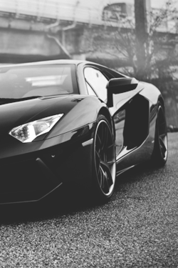 dream-villain:  Black & White Aventador.  