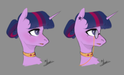 madconey:Disignes of princesses of Equestria - Rarity and Twilight