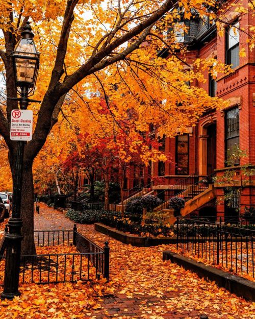 autumncozy:  By pocketboston