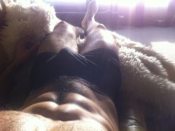 texasfratboy:  the sun rises over his morning bulge….