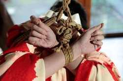 japanesebdsmofficial:    Kinbaku Naka AkiraModel Shizuki Iroha