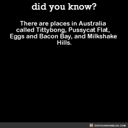 did-you-kno:  There are places in Australia called Tittybong,