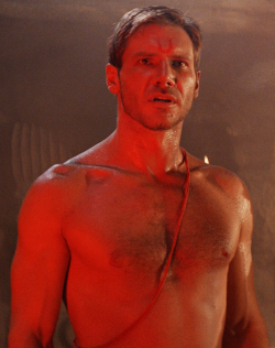 whiskeydicked:  verdeinvolumes:  Young Harrison Ford, Sweet Baby