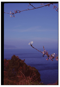 ellanmwebb2:  Nokonoshima and Mt. Aso. Photographs from my residency