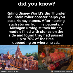 did-you-kno:  Riding Disney World’s Big Thunder  Mountain roller