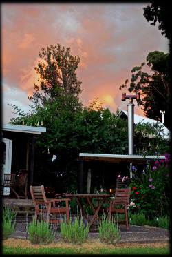 liquidredwax:  Warm Earth Cottage, Katikati, New Zealand  Taste