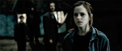 my-flourish-and-blotts:  hermione sees that another “harry”