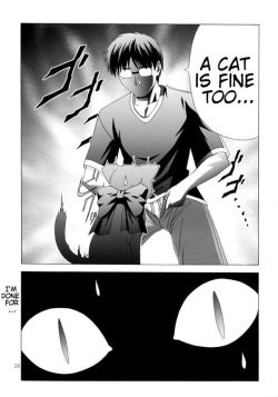 mrorphans:  hentaibeats:  Id fuck the cat     Ah internet memes…