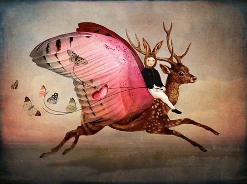 indigodreams:  “Enjoy The Ride” by Catrin Welz-Stein