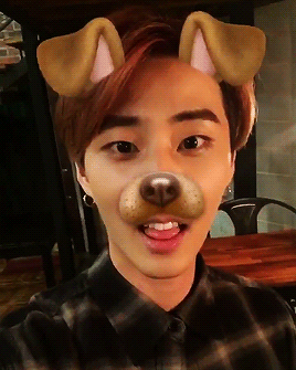 younqk:kang puppy♡  