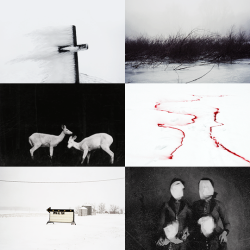 clairelizabethfraser:  Southern Gothic: Winter There is a space,