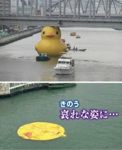 theonenamedperry: constable-frozen:  LEGO - Rubber Duck    