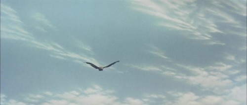 ozu-teapot: Mothra vs. Godzilla | Ishirô Honda | 1964