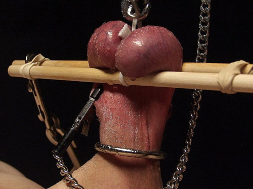 brutal-cock-ball-torture:  Brutal Cock & Ball Torture Other kinky blogs: Mistress Viroth Riding Crops, Floggers, & Spanking Lesbian Strapons, & Oral 