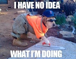Me anytime anyone asks me to do anything construction related.