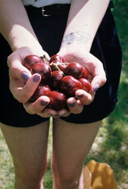 feules:  (by Alexandra.Gurwell) 