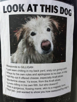 srsfunny:  Look At This Amazing Dog   Nicely played…