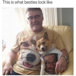Best Dog Memes(Or Anything Else That Has Dogs 😉)