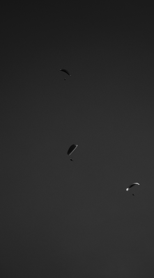 mfkopp:  Paragliders | Romano d’Ezzelino | Italy