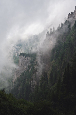 viatorr:  Barren rocky peaks covered by white fog (by Horia Varlan)