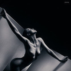 (via Vadim Stein)