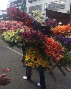 #feriadeflores2017 #desfiledelossilleteros #medellin