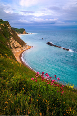 outdoormagic:  (via The Coast around Durdle Door, Lulworth, Dorset,