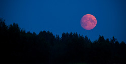 The full moon this month is called the Full Pink Moon.Werewolves