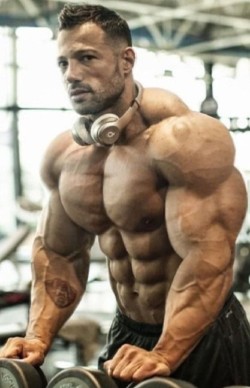musclebull23: 