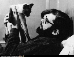 memorias-del-ouroboros:  Escritores y sus gatitos…. Allen Ginsberg