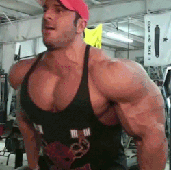 Haus Of Muscle