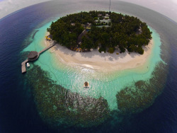 landscapelifescape:  Angsana Ihuru, Maldives (by marmitako)