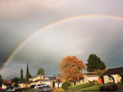 Rainbows 🌈  (at Hacienda Pèrez-Garcia) https://www.instagram.com/p/BqyIUpTg3Au/?utm_source=ig_tumblr_share&igshid=19cbyl9qlm2mc