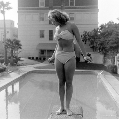 inthedarktrees:   Peter Stackpole,  “Summer Bathing Suits and