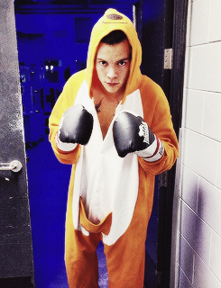 dailyonedirection:  HARRY STYLES’ COSTUMES OF 2013: the boxing