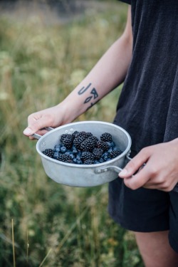 sweetoothgirl:  Gluten Free Mini Tarts w/ Vanilla Pudding, Blueberries