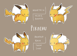 epicawesomepie:More pokemon variations/subspecies! The classique,