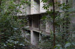 orbitalpavilion:David Hartt / In the forest / Graham Foundation,