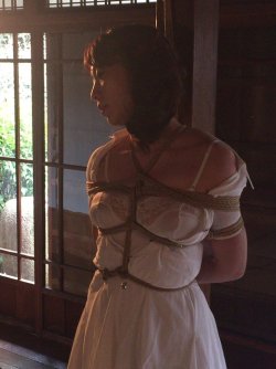 mai8chan:  Shibari Naka AkiraModel Momose YuriPhoto Sanwa