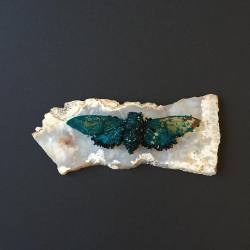 tylerthrasherart:  New crystallized cicada I’ve been working