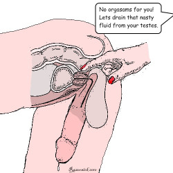 Ich habe gesagt, dass heute dein ErlÃ¶sungstag ist, ja. Aber das heiÃŸt nicht, dass ich dich einen Orgasmus bekommen lasse.Ich werde deinen Saft nur durch eine Prostatamassage aus deinen Eiern abmelken. Das reicht fÃ¼r einen Ehe-Lustsklaven wie dich doch,