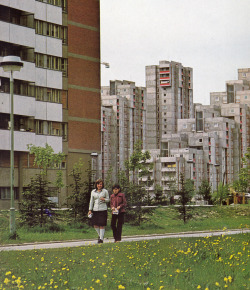 kubadorabialski:Novi Beograd, Serbia, Yugoslavia.