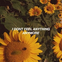 bandlyriceditsssss:how does it feel by citizen