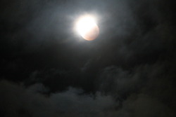 thoughts-of-an-x-factor:  Lunar Eclipse, 31st of Jan/1st of Feb.