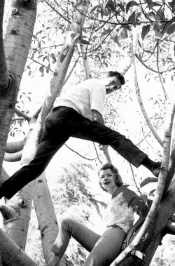 mabellonghetti:  Gena Rowlands and John Cassavetes, c.1959